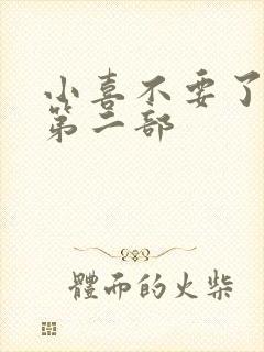 小喜不要了好大第二部