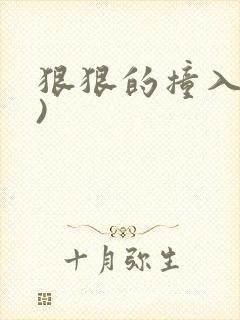狠狠的撞入(h)