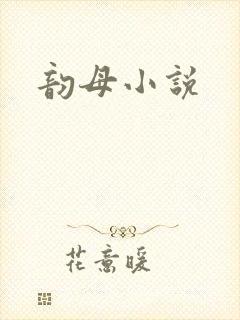 韵母小说