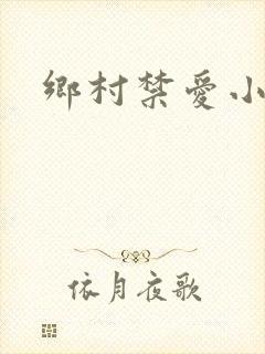 乡村禁爱小说