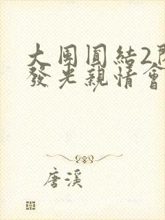 大团圆结2闪闪发光亲情会