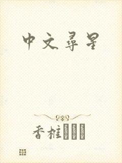 中文寻星封面