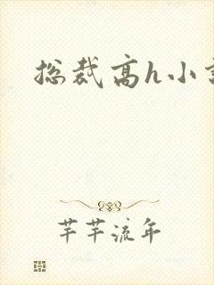总裁高h小说