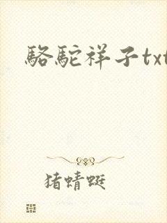 骆驼祥子txt