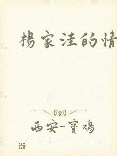 杨家洼的情事