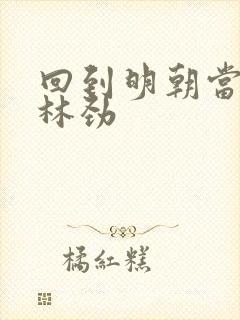 回到明朝当王爷林劲