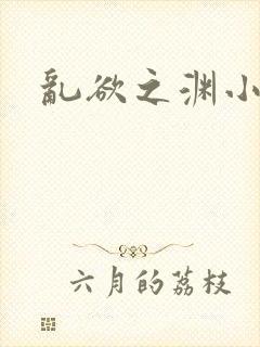乱欲之渊小说