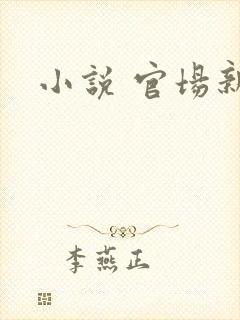 小说 官场新贵
