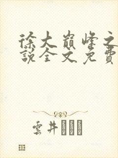 徐大巅峰之路小说全文免费阅读