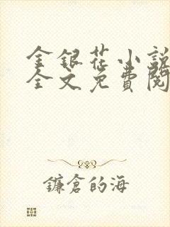 金银花小说在线全文免费阅读