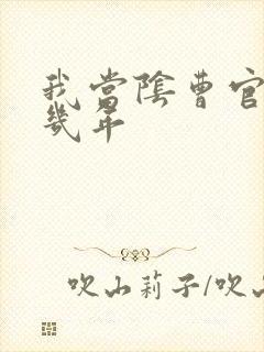 我当阴曹官的那几年
