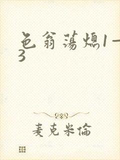 色翁荡熄1—13