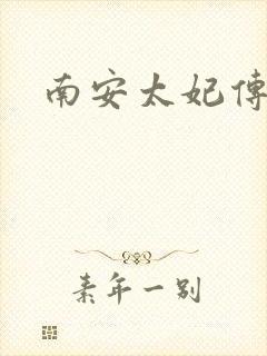 南安太妃传封面