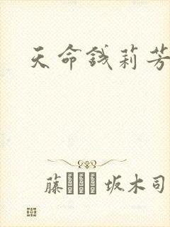 天命钱莉芳封面