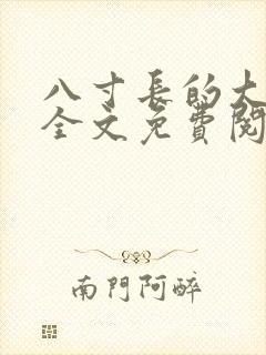 八寸长的大宝贝全文免费阅读封面