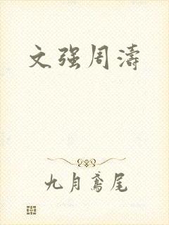 文强周涛