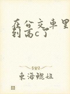 在公交车里c弄到高c了