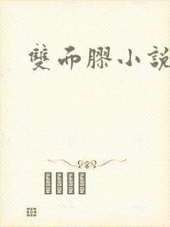 双面胶小说