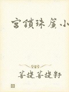 宫锁珠帘小说