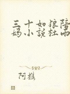 三十如狼陪读妈妈小说杜雨馨封面