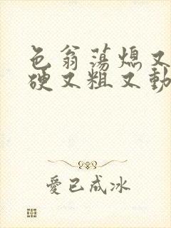 色翁荡熄又大又硬又粗又动态图