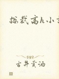 总裁高h小说