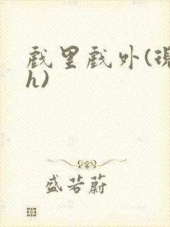 戏里戏外(现场h)
