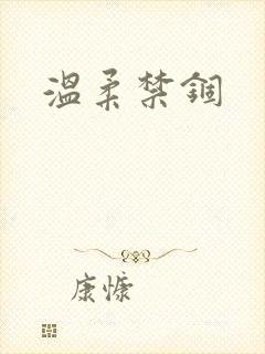 温柔禁锢封面