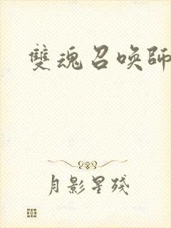 双魂召唤师