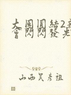大团圆结2亲情会闪闪发光目录