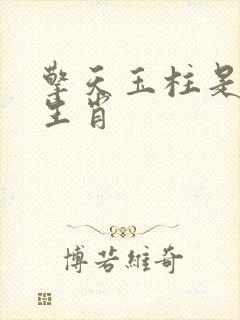 擎天玉柱是什么生肖封面