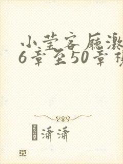 小莹客厅激情46章至50章视封面