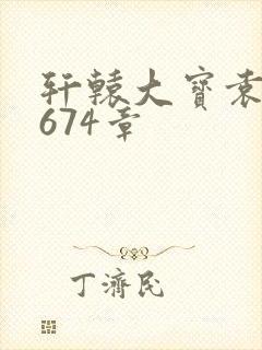 轩辕大宝袁雪妃674章