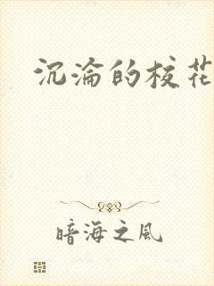 沉沦的校花