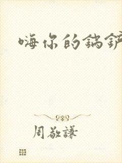 嗨你的锅铲