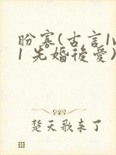 盼寡(古言1v1 先婚后爱)