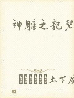 神雕之龙儿别传封面
