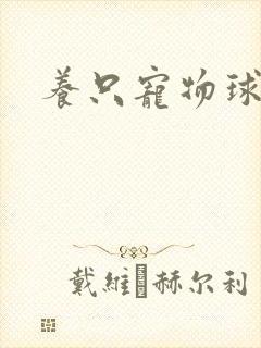 养只宠物球