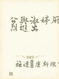 公与淑婷厨房猛烈进出