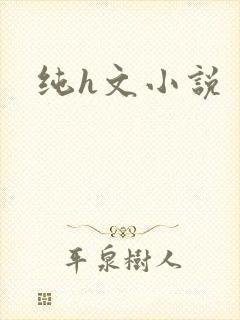 纯h文小说