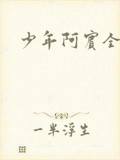 少年阿宾全集封面