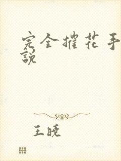 完全摧花手册小说封面