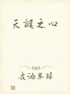 天谴之心封面
