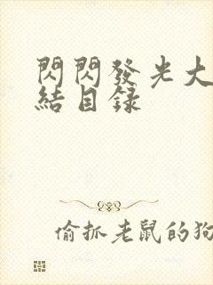 闪闪发光大团圆结目录