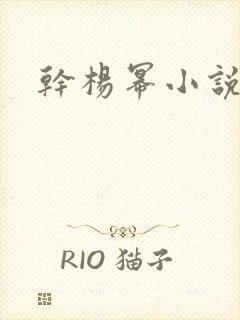 干杨幂小说
