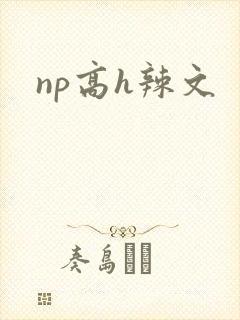 np高h辣文