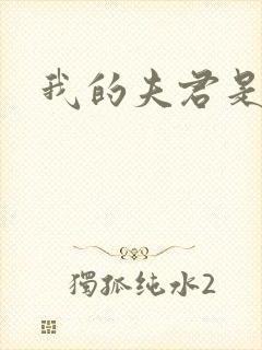 我的夫君是冥王封面