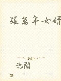 张万年女婿封面