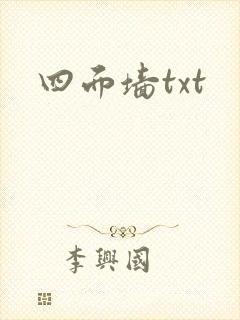 四面墙txt
