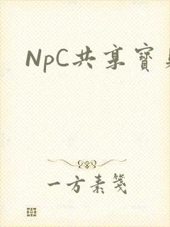 NpC共享宝贝
